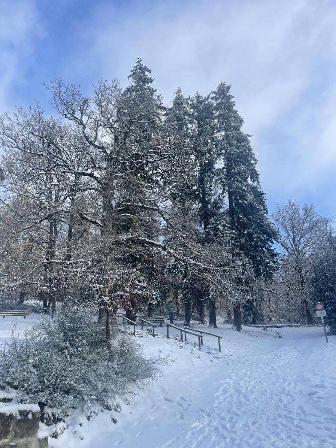 Le Manoir Des Sens - Foret De Bergheim Exteriér fotografie