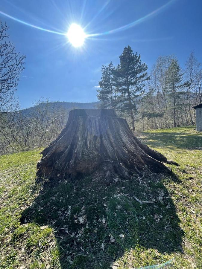 Le Manoir Des Sens - Foret De Bergheim Exteriér fotografie
